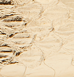 Elaphe (Snakeskin)