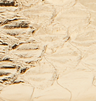 Elaphe (Snakeskin)