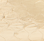 Elaphe (Snakeskin)