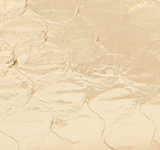 Elaphe (Snakeskin)
